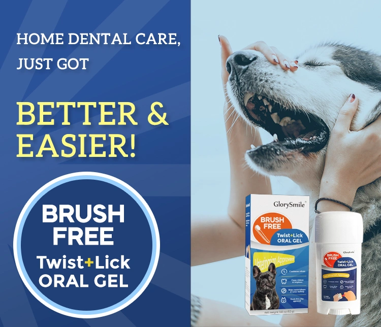 New Product 52g Chicken Taste Dental Plaque Remove Dog Dental Cleaning Gel Toothpaste Pet Oral Care