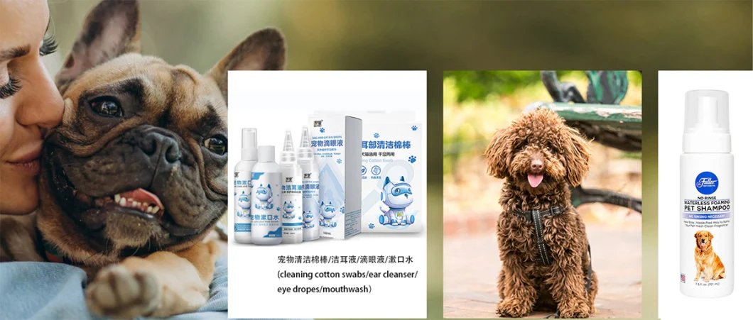 OEM Waterless Dog Shampoo Natural Dry Shampoo for Dog Cleaning Pet Bath Shampoo
