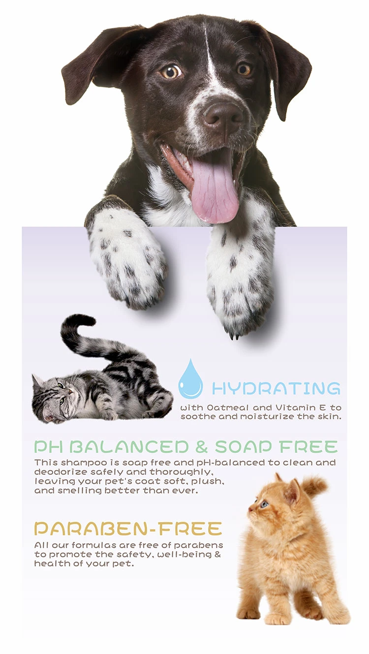 Best Smelling Dog Shampoo for Pet Odor Control Long Lasting Natural Scented