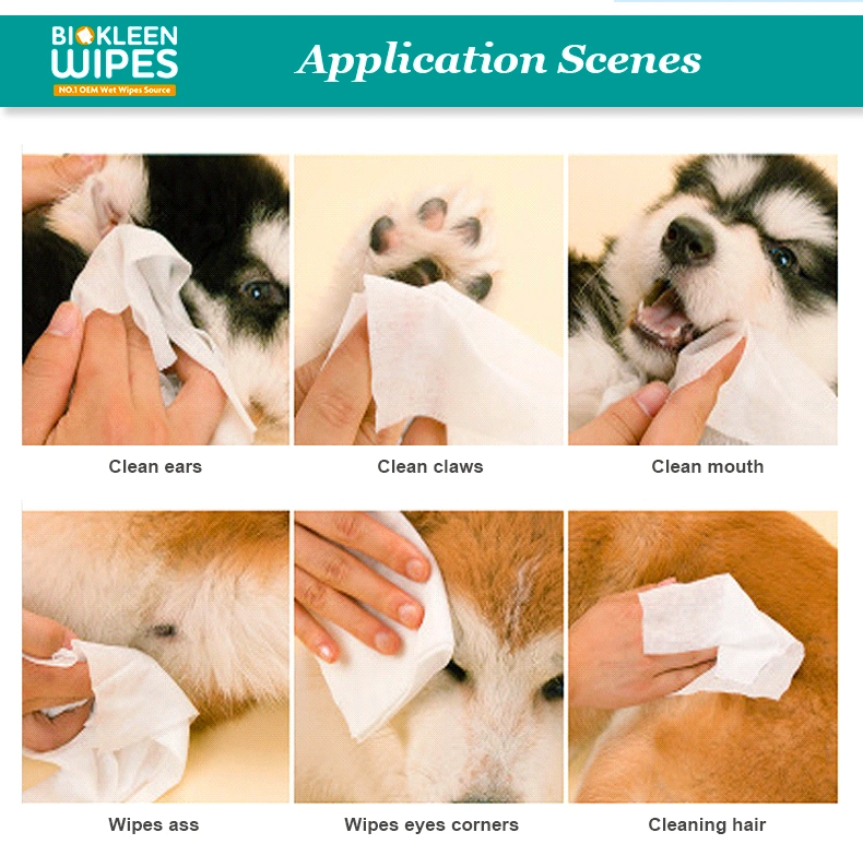 Biokleen OEM 80PCS 100PCS Pets Cleaning Dog Bath Ear Dog Pet Wet Wipes
